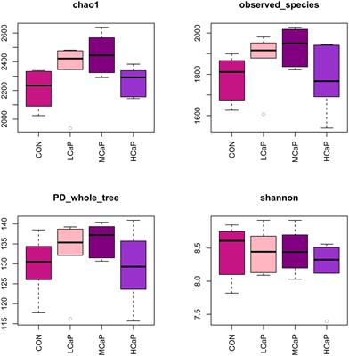 Calcium Propionate Supplementation Has Minor Effects on Major Ruminal Bacterial Community Composition of Early Lactation Dairy Cows